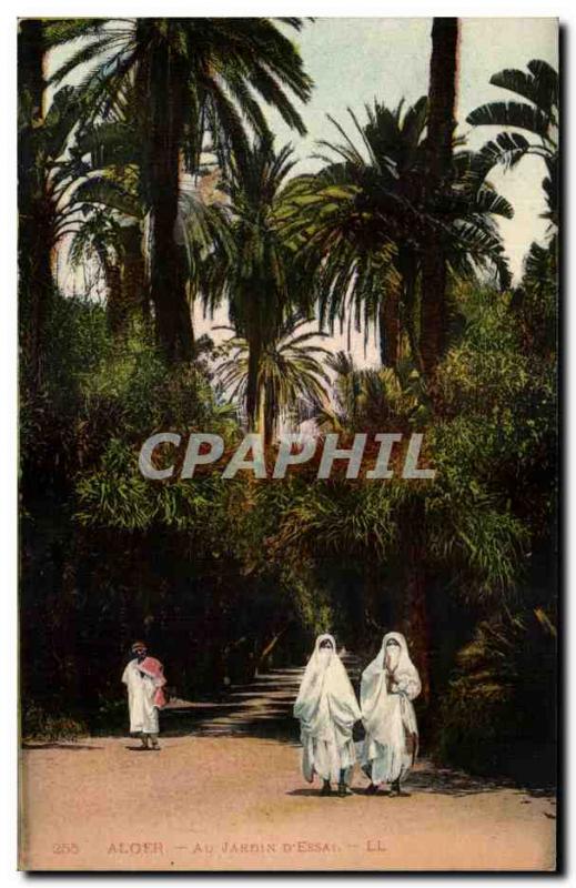 Old Postcard Alger Au Jardin D Essai Women