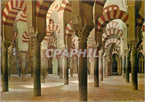 Postcard Modern Cordoba Cathedral View of the Inner Mosque