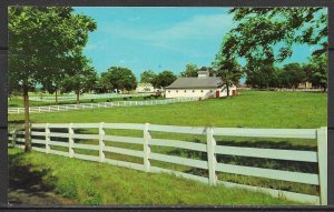 Kentucky, Lexington - Picturesque Horse Farms - [KY-056]