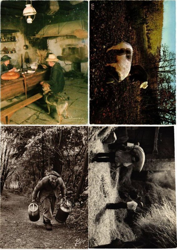 AGRICULTURE PROFESSIONS 500 MODERN Postcards (L2539)