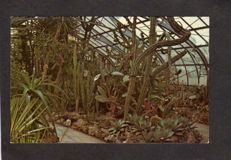 OH Desert Garden Krohn Conservatory Eden Park Cincinnati Ohio Postcard Plants