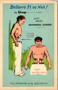 Anato Hayes Odditorium Anatomical Freak Ripley's NY World's Fair 1940 Postcard
