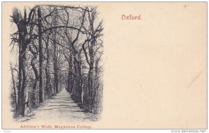 Addison's Walk, Magdalene College, Oxford, England, UK, 1900-1910s