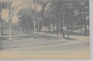 Thompson Connecticut view of West Street & The Common antique pc (Z9291)