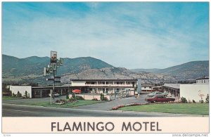 Swimming Pool, Classic Cars, The Flamingo Motel, Penticton, British Columbia,...