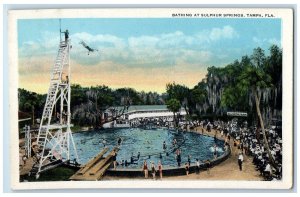 Bathing At Sulphur Springs Tampa Florida FL, Alligator Farm Scene Postcard 