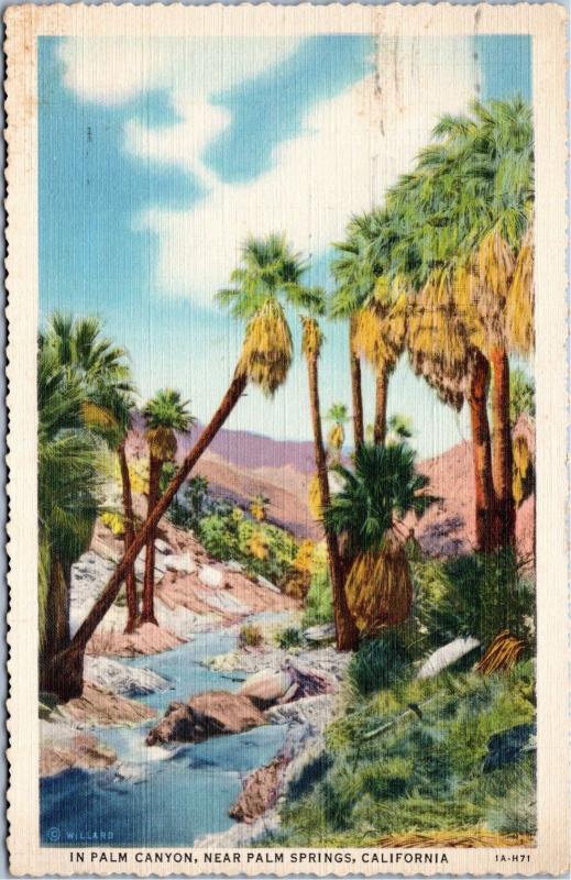 Palm Canyon near Palm Springs California posted 1938