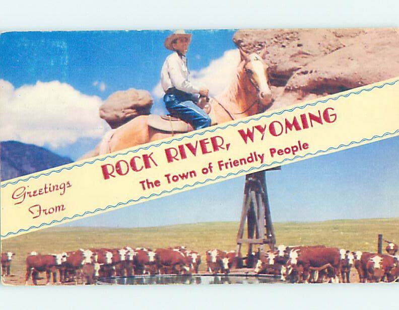 Chrome ANIMALS SCENE Rock River - Near Medicine Bow & Laramie Wyoming WY AH3806