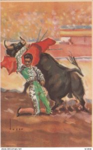 Bull Fight  , 10-30s ; AFAROLADO, DE RODILLAS