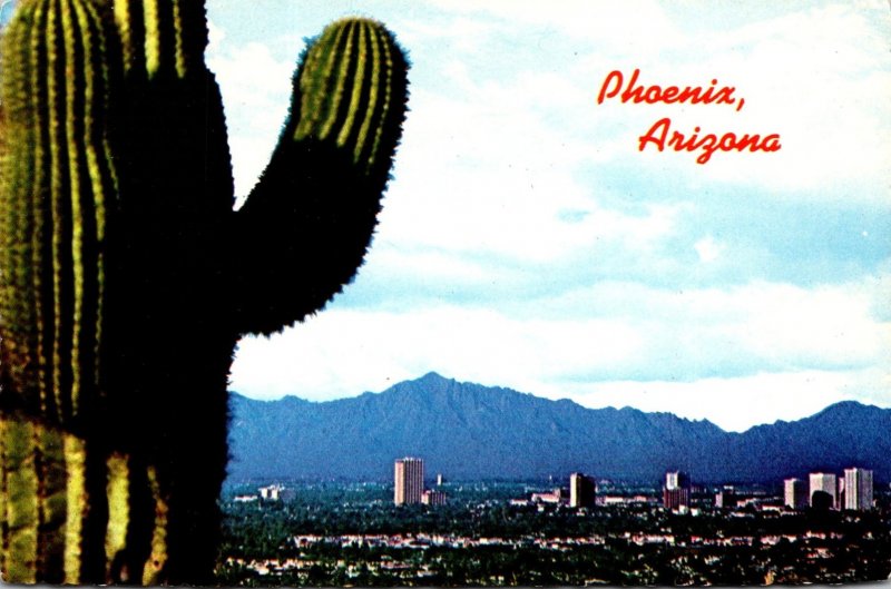 Arizona Phoenix North Central Avenue With Giant Saguaro Cactus