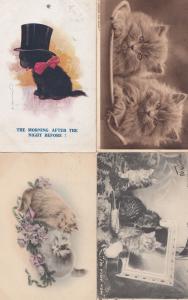 Landers Cat Studies I'm Tidy Now 4x Cats Postcard s