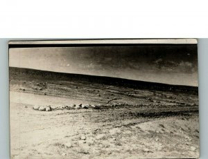 1930s Open Field Dirt Road Gentle Hills in Background Real Photo Postcard 6-24