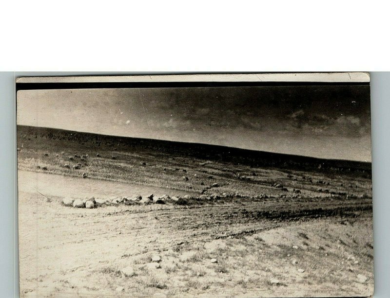 1930s Open Field Dirt Road Gentle Hills in Background Real Photo Postcard 6-24 