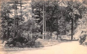 View in Pine Banks ParkMalden, Massachusetts