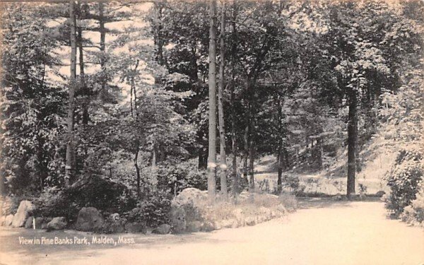 View in Pine Banks ParkMalden, Massachusetts  