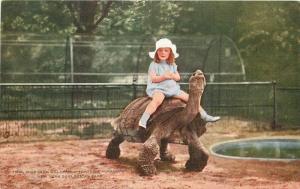 Artist impression Girl riding Galapagos Tortoise C-1910 New York Zoological 387