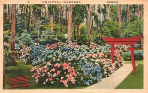 Vintage Postcard 1930s Oriental Gardens FL Florida Pink Roses