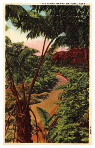 Postcard SCENE Hawaii National Park Hawaii HI AP8840