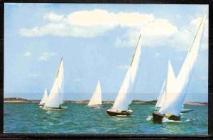 Sailboats (USVC 0543)
