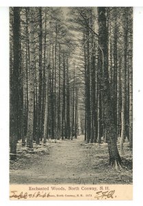 NH - North Conway. Enchanted Woods ca 1906 (Photo by N. Weston Pease)