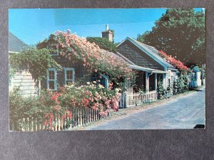 Nantucket Island MA Chrome Postcard H1173084919