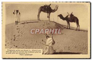 Postcard Old Desert Dromedary Camel Islam Prayer in the desert