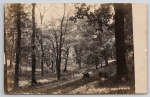 Michigan RPPC Park East of Woodward c1908 Real Photo Postcard B31