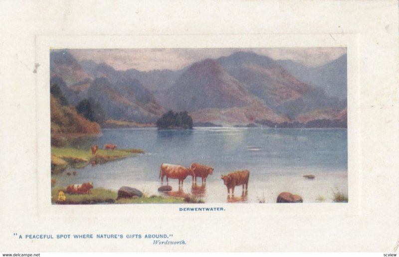 DERWENTWATER, UK, 1900-10s; TUCK 9700