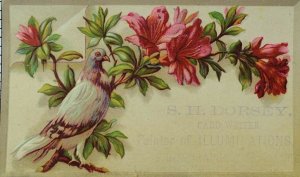 1870's-80's S.H. Dorsey, Card Writer, Bird and Flowers Victorian Trade Card F103