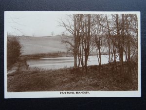 North Yorkshire BRANDSBY Fish Pond c1944 RP Postcard by City Series