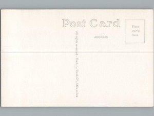 RPPC Postcard - St James Lutheran Church Allison IA