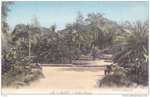 Jardin d'Essai, Alger, Algeria, Africa, 1900-1910s