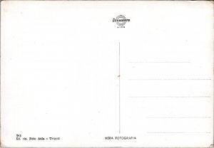 Postcard Libya - Triploli - map, camels, multiview