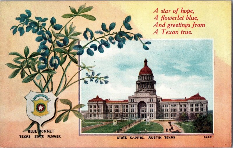 State Capitol, Blue Bonnet Austin TX Vintage Postcard N77