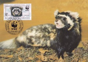 Marbled Polecat Tigeriltis Kazakhstan WWF Stamp FDC Postcard