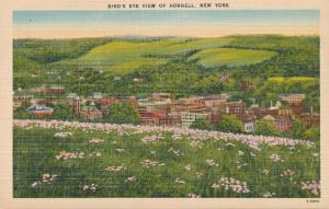 Wild Flowers and Bird's Eye View of Hornell NY, New York - Linen