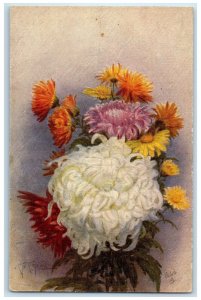 c1910 Chrysanthemums Flower Unposted Embossed Oilette Tuck Art Postcard