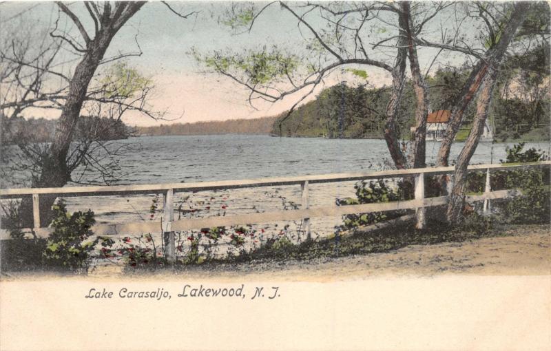 LAKEWOOD NEW JERSEY LAKE CARASALJO ROTOGRAPH SOL ART PRINTS POSTCARD c1900s