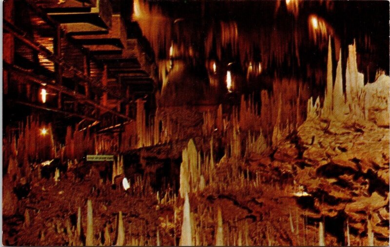 Crystal Cave Interior Scenic Bermuda Landmark Caverns Chrome Postcard