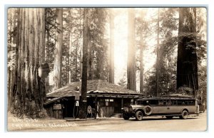 RPPC LEGGETT, CA ~ Roadside LANE'S REDWOOD FLAT ~ BUS c1930s Patterson Postcard