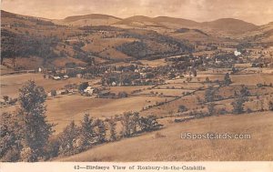 Birds Eye View - Roxbury in the Catskills, New York NY  