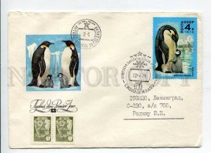 410938 1978 Kolganov Polar fauna emperor penguin Antarctica station Molodozhnaya