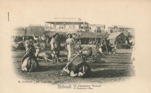 EAST AFRICA DJIBOUTI CARAVAN'S REST ANTIQUE POSTCARD