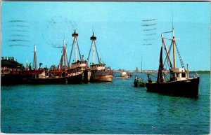 Postcard BOAT SCENE Cape May New Jersey NJ AK1542