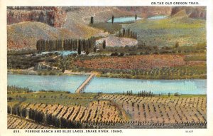 ID Idaho PERRINE RANCH & BLUE LAKES~Snake River BIRD'S EYE VIEW ca1920s Postcard