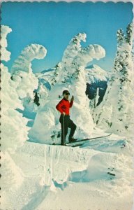 Skiing Skier Mountain by Hart Highway BC Alberta Unused Vintage Postcard F99