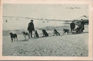 A Dog Team Dogs Sled Team Sleigh Men Winter Unknown Location RPPC Postcard E28
