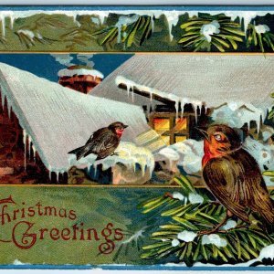 c1910s Christmas Greetings Cute Birds Winter House Night Lights Outdoors PC A224