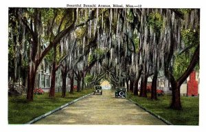 Postcard HIGHWAY SCENE Biloxi Mississippi MS AS6469