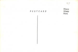 Popeye, Popeye Cartoon 